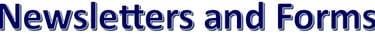 Page title