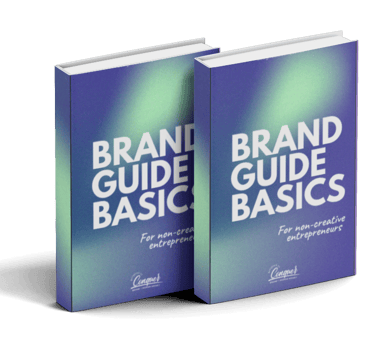 brand guide book