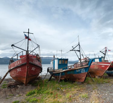 Des bateaux de pêche en Terre de Feu près du Cap Horn