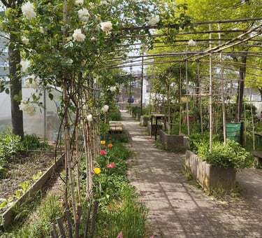 jardin place Pablo Picasso Villejuif