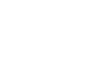 a black and white photo of a horse and a gate