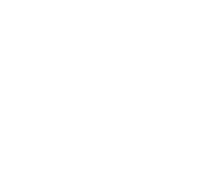 a person's head with a lotus flower in the middle of the head