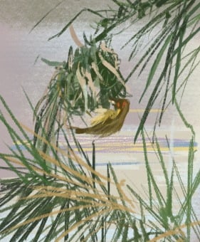 Digital drawing: Weaver bird in Port Elizabeth - digital postcard