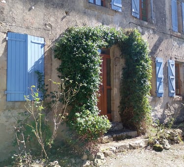 Taille entretien plante grimpante dans un jardin de Brams