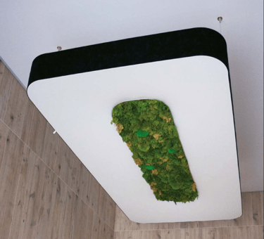MODULE´ POLO MOSS VECTADESIGN