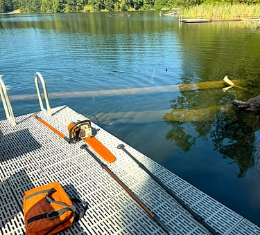 Tree service in northern King County removing tree trunk hazard in water