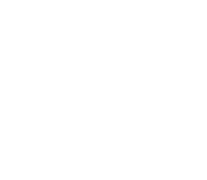 Logo Get Install Photovoltaics: białe słońce symbol promieni słonecznych, technologie OZE.