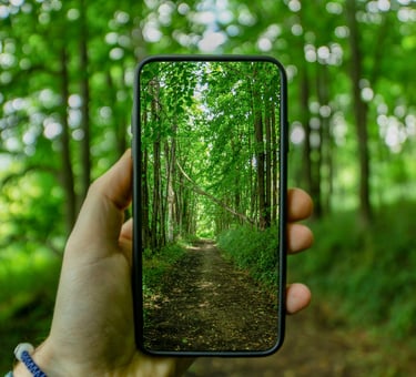 Hand holding a smartphone capturing a scenic dirt hiking trail through a lush green forest.
