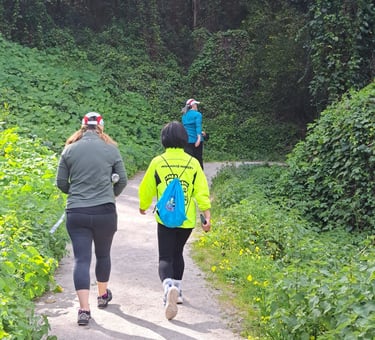 walkers on a path through woodland