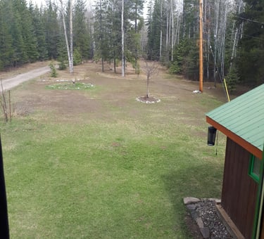 The original lawn at the property, prior to creation of a home garden and expansion into Grouse House Farm