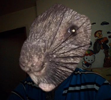 Ruxi