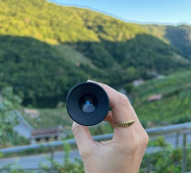 Asesoramiento enológico