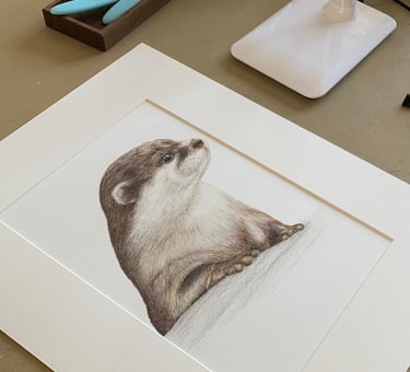 Otter