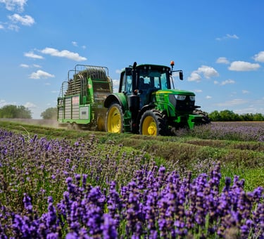 Wholesale supply - Lavandula Angustifolia water hydrosol for cosmetics