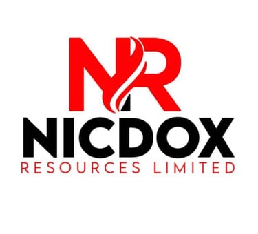 a logo for a company called nicdox
