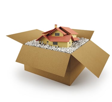 House inside shipping box