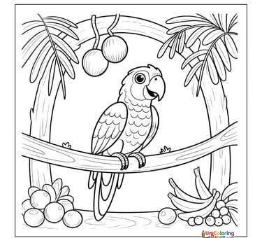 Macaw parrot coloring template bird pet for children