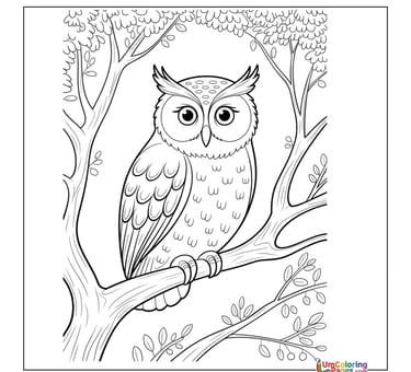 owl coloring page for kids