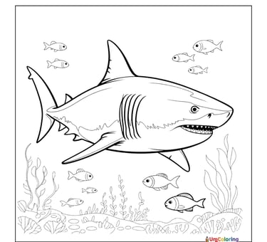 shark coloring page for kids