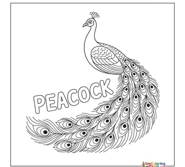 peacock coloring page for kids