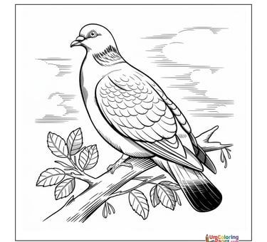 pigeon bird coloring page printable