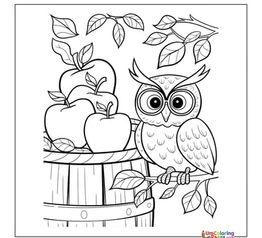 owl bird coloring page printable