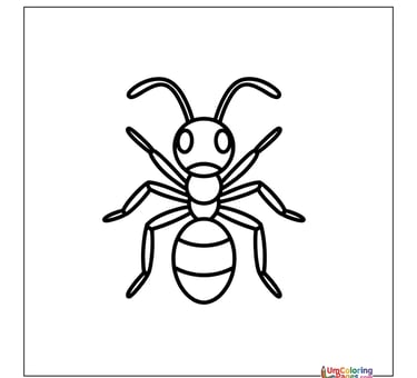 Cute ant outline drawing preschool insect printable