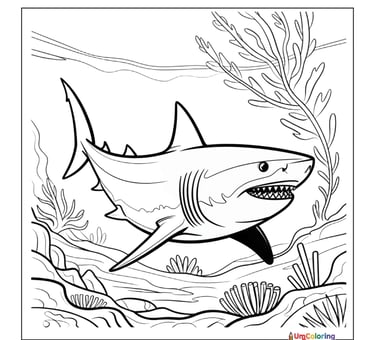 shark ocean animal coloring page