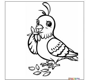 simple pigeon line art coloring page