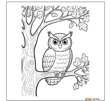 simple owl line art coloring page