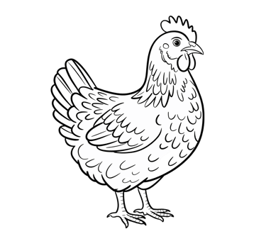 easy chicken coloring page for children