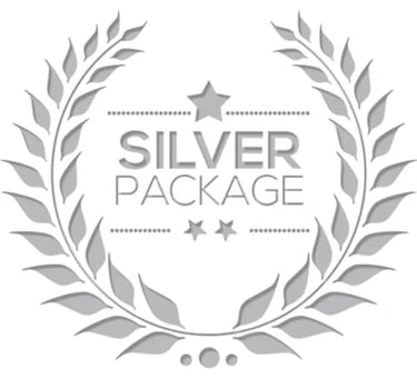 Car detailing portage county