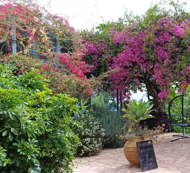 Notos Beach Korfu Villa Olivia Pentati