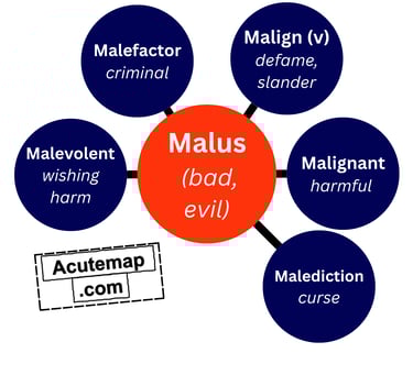 Malus root word SSC UPSC