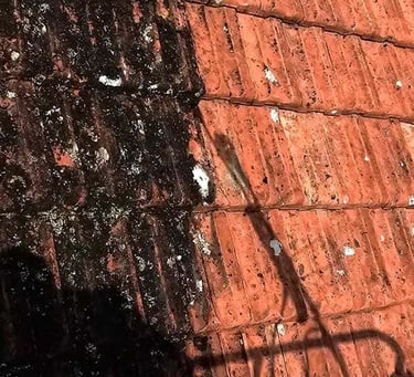 limpieza de tejados y canalones