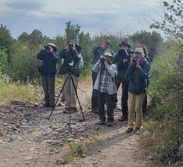 a group of people walking on a dirt road birdwatching