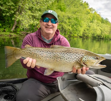 25.5" personal best brown trout!  May 2025 South Holston River Fishing Report
