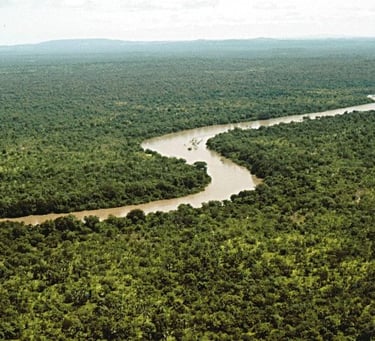 Niokolo-Koba National Park landscape with Gambia River and gallery forest