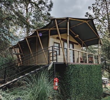 Conoce safari woodscape