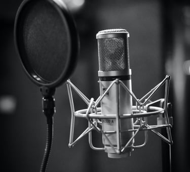 Microphone and pop filter