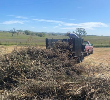 Brush removal