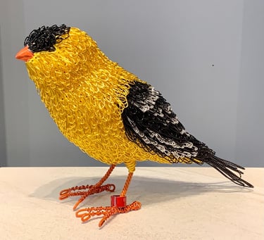 MR G. FINCH - pine and plated wire by Guy Cranston