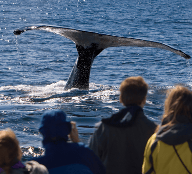 How to immigrate to Nova Scotia? 