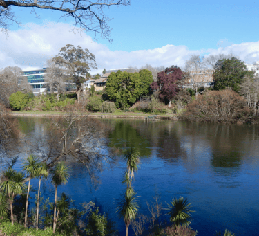 Waikato River in Hamilton Central from Parana Park