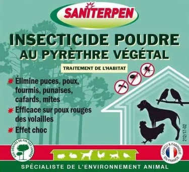 Pyrèthre pour le jardin