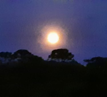 Sitio Via Lactea,, Cunha, Sao Paulo