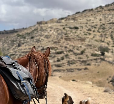 Cheval contemplant la campagne et le village 