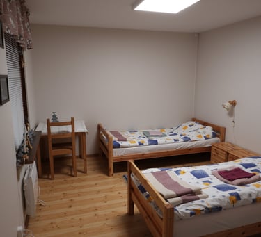 a bedroom with two beds and a desk