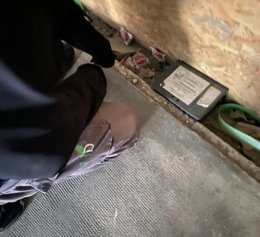 dératisation commerce a Nice