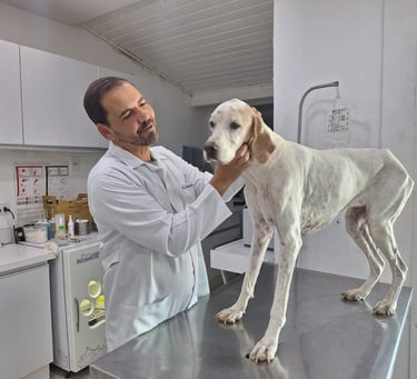 Dr. Leonardo Monteiro em consulta na Veterinária Professor Adalbyr em Mangaratiba